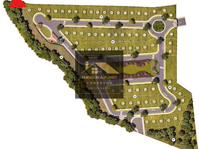 #113 - Terreno para Venda em Pouso Alegre - MG - 3